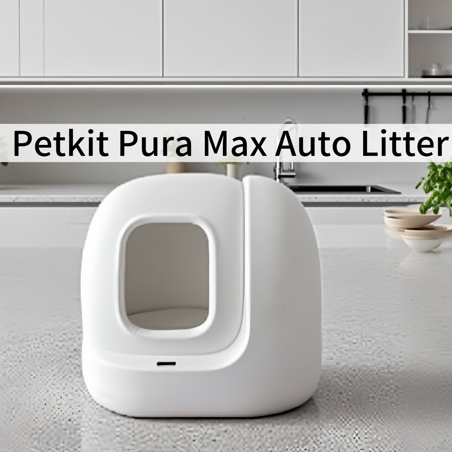 2025/08/30 Top Auto Litter Box for Europe: Petkit Pura Max Review (Multi-Cat & Smart App Control)