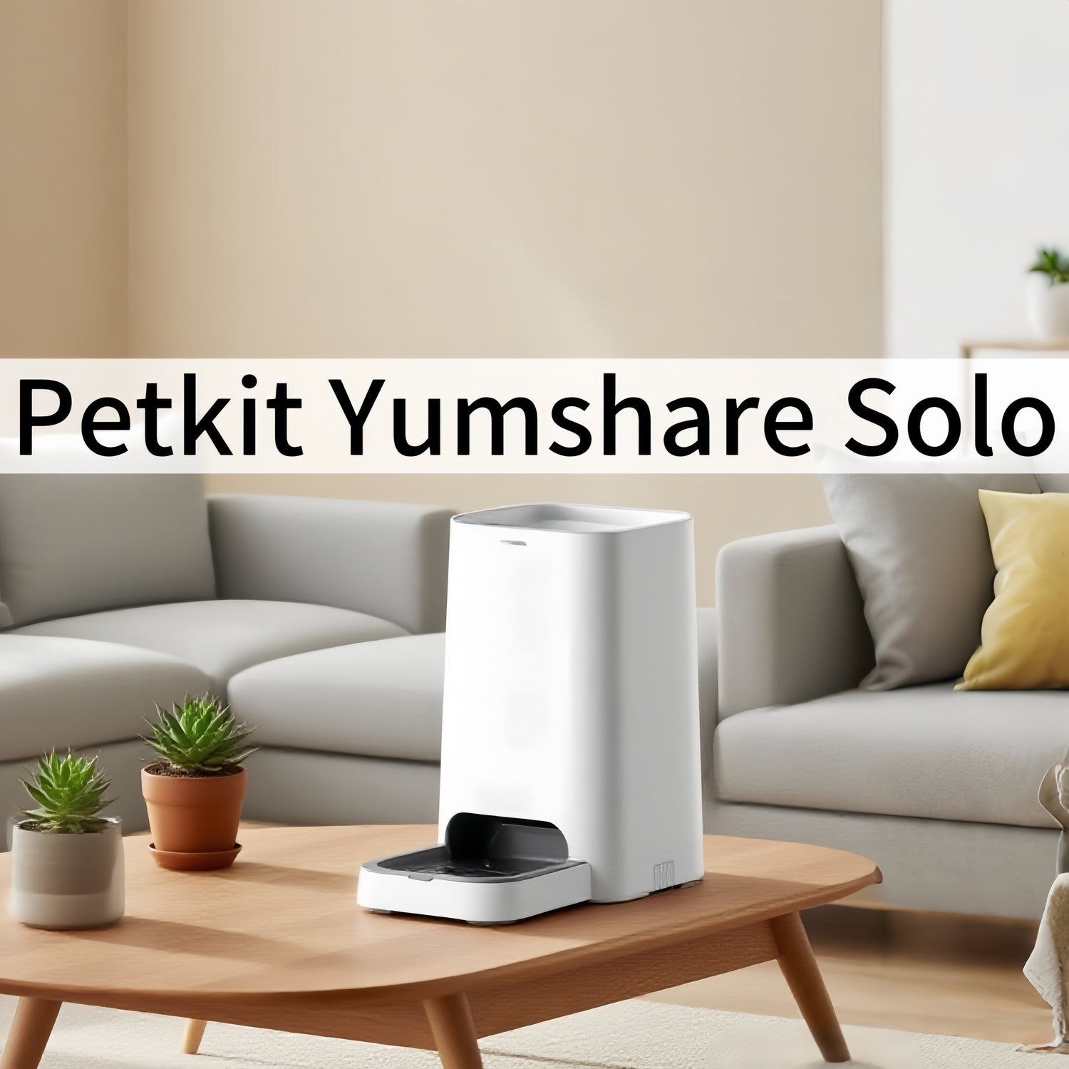 2025/08/22 Petkit Yumshare Solo: Solving Feeding Problems for European Pet Owners! Anti-Jam + AI Monitoring + EU CE Certification, the Top Smart Feeder Choice in 2025