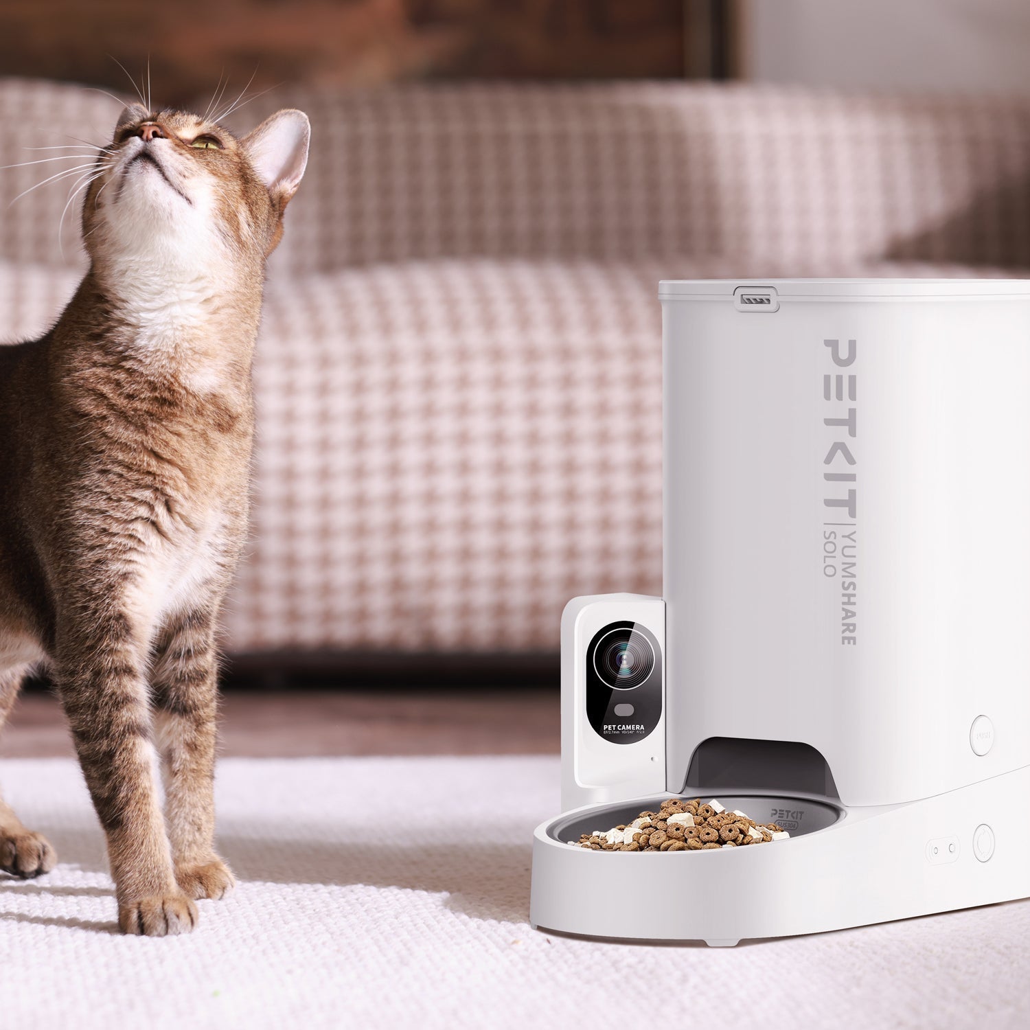 2025/08/26 Petkit Yumshare Solo Review 2025: Perfect for Multi-Cats/Large Dogs in Europe