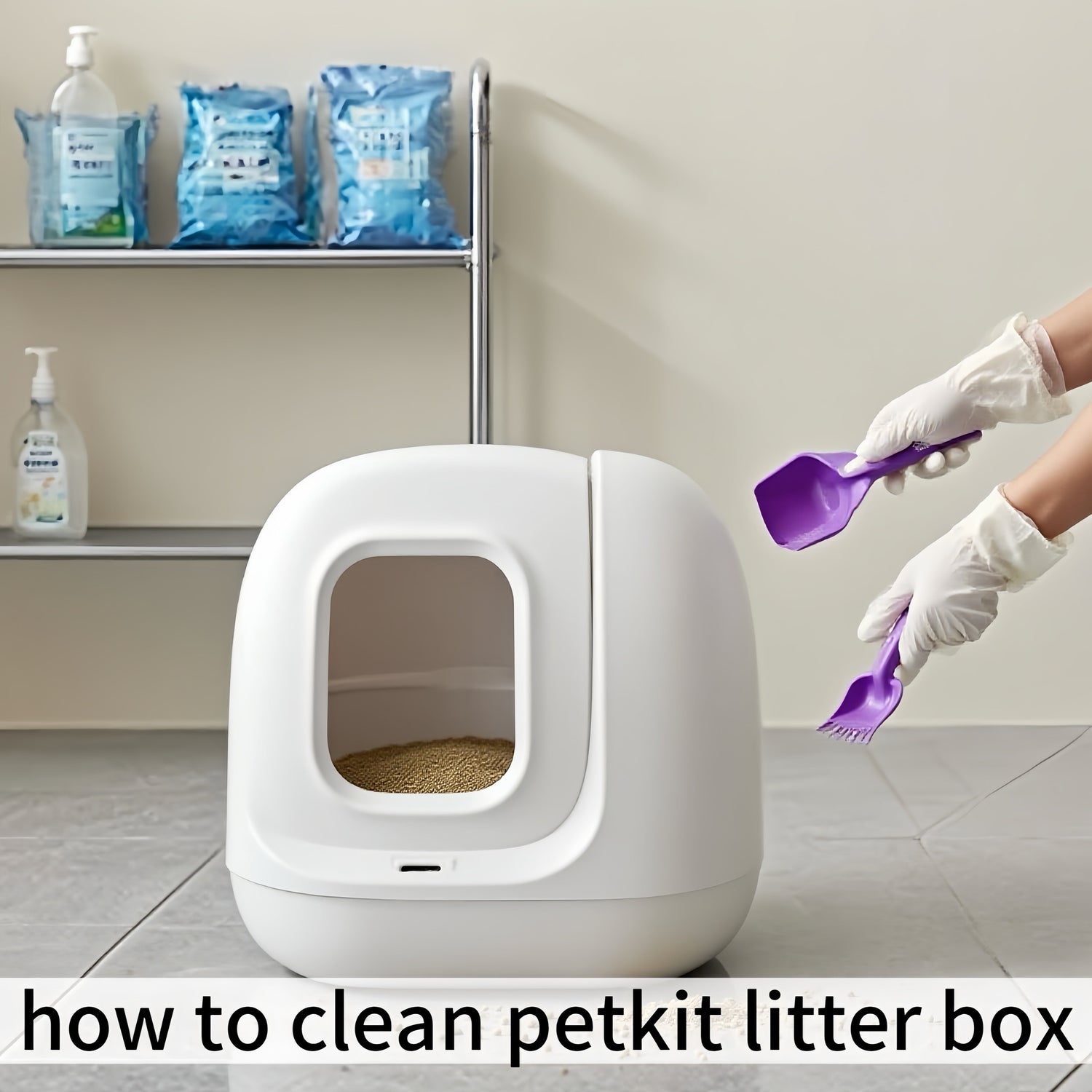 2025/08/30 How to Clean Petkit Litter Box (Automatic & Manual): No Mistakes for Beginners
