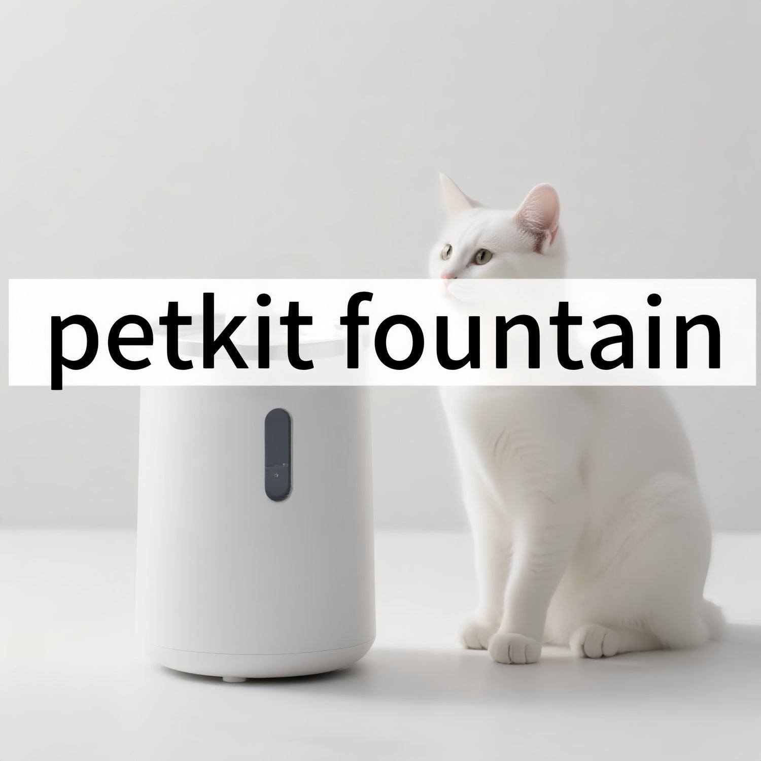 2025/08/26 2025 Hands-On Recommendation: Petkit Fountain (European Version) – As Low as 25 Decibels + Triple Filtration, Suitable for Single-Pet/Multi-Pet Households