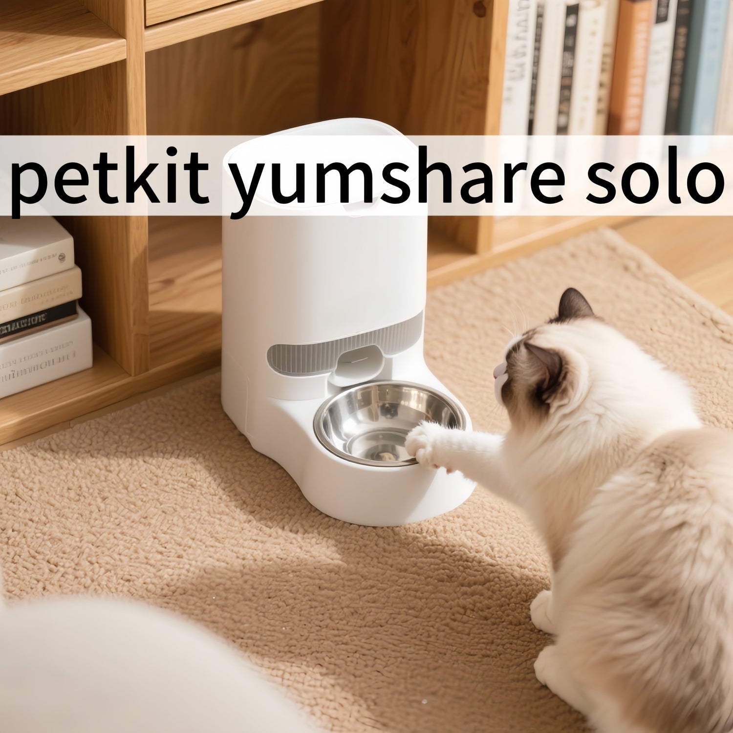 2025/08/26 Petkit Yumshare Solo Review 2025: Perfect for Multi-Cats/Large Dogs in Europe