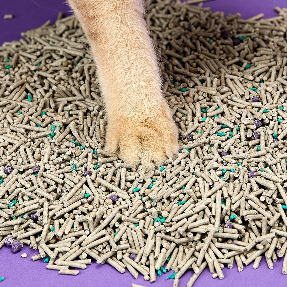 Flushable Clumping Cat Litters (5 in 1) | 4 Bags