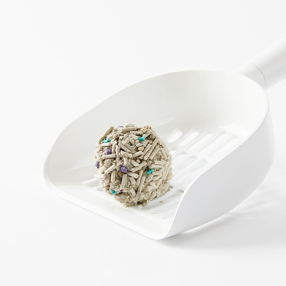 Flushable Clumping Cat Litters (5 in 1) | 4 Bags