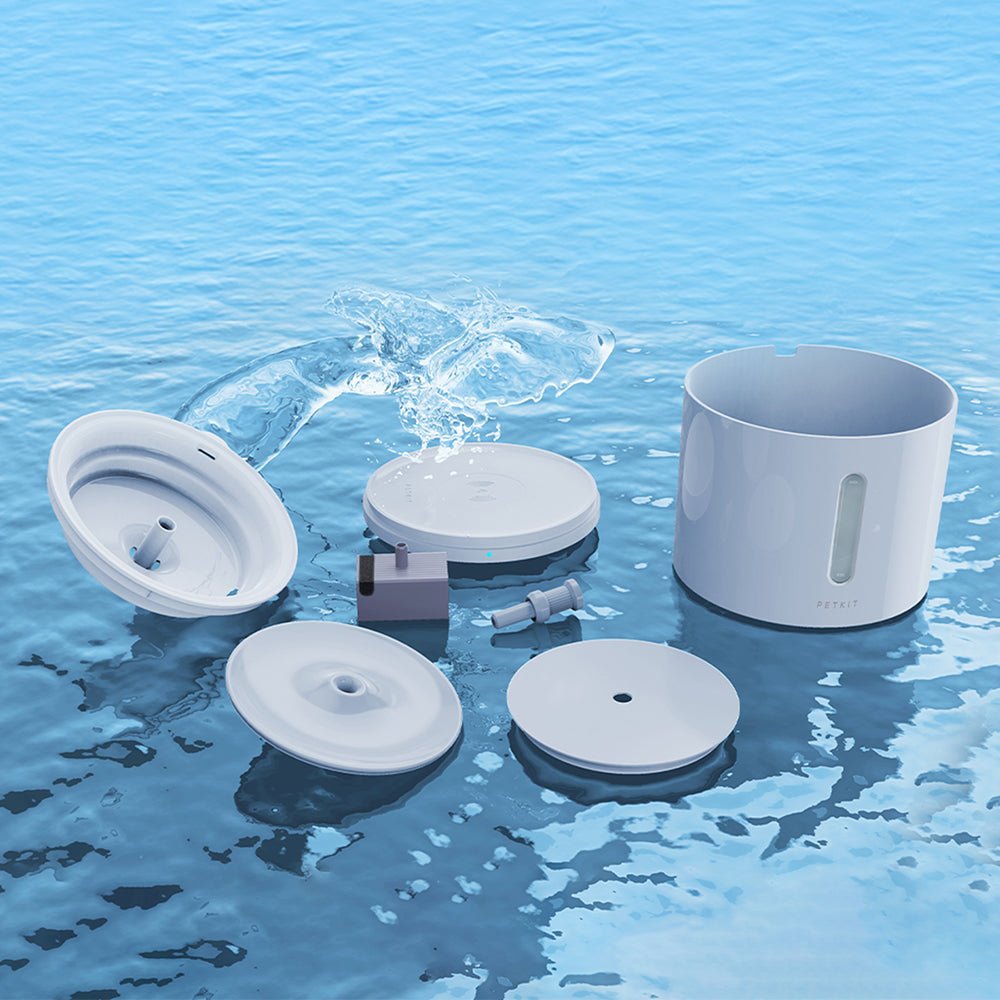 Fontaine à eau pour animaux EverSweet Solo 2