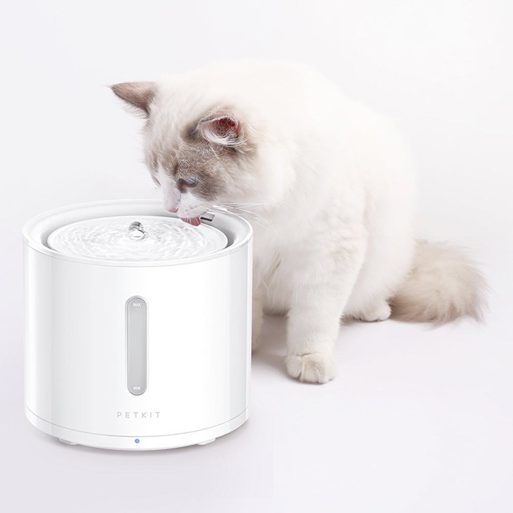 PETKIT Filter Unit 3.0 | 5 pcs