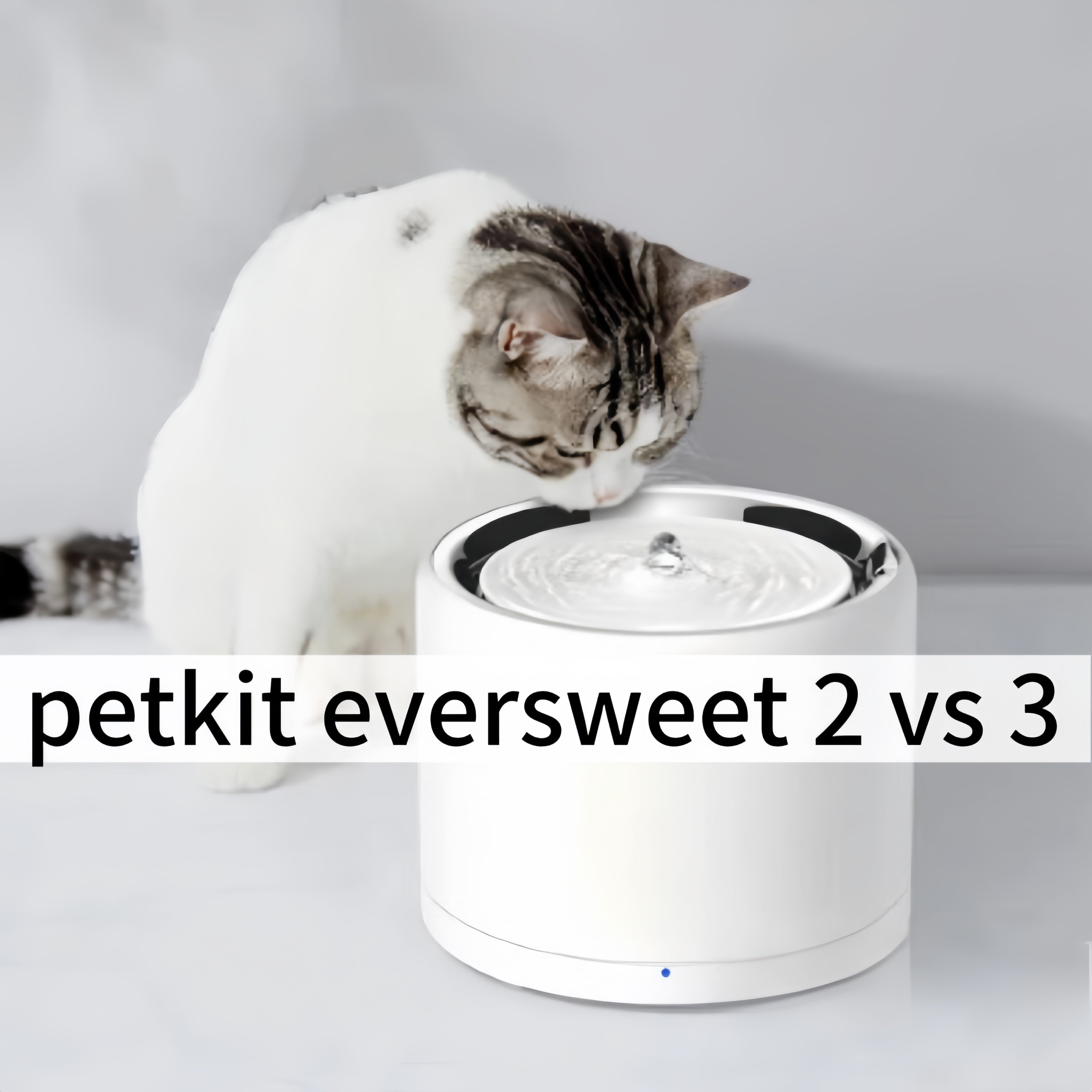 2025/08/19 Petkit Eversweet 2 vs 3: 7 Key Differences European Pet Families Must Know, Choose Right to Save Half the Money!